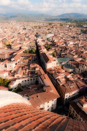 Florence-11OCT19-4599