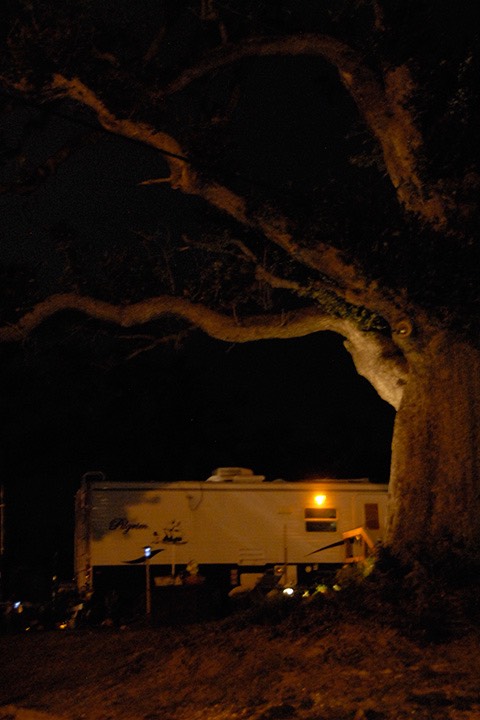 FEMA trailer's porch light illuminates the underarm of a massive Mississippi oak a year after Katrina