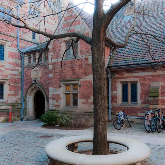 classic academic court on a cold day at Yale