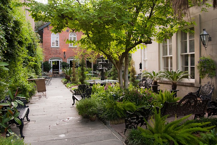 quiet dining courtyard swaddled in green in New Orleans’ French Quarter