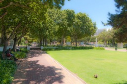 The-Company's-Garden-11DEC15-8400