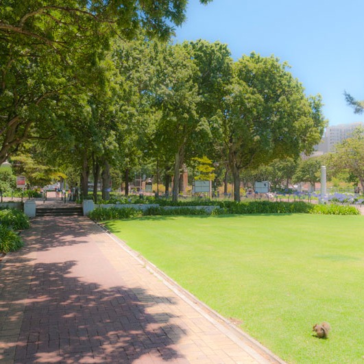 The Company's Garden in Cape Town has a great series of garden rooms