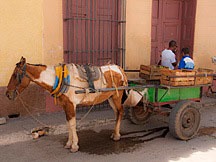 horse hitched to small wooden wagon with Jeep tires in Trinidad de Cuba