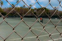 peering through chain-link fence into tennis courts in Flamingo Park in Miami Beach