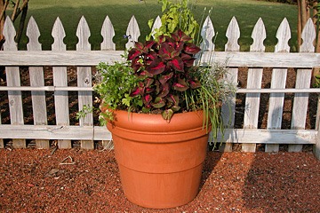 terra cotta pot with plants against wood fence at Huntsville Botanical Garden