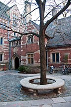 tree surrounded by stone bench in courtyard at Yale University