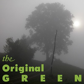 OriginalGreenIcon-276