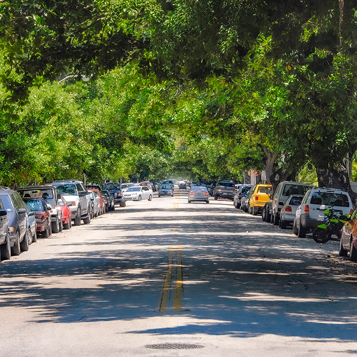 tree-lined Miami Beach avenue fronted by some of the best residential buildings in the Art Deco District
