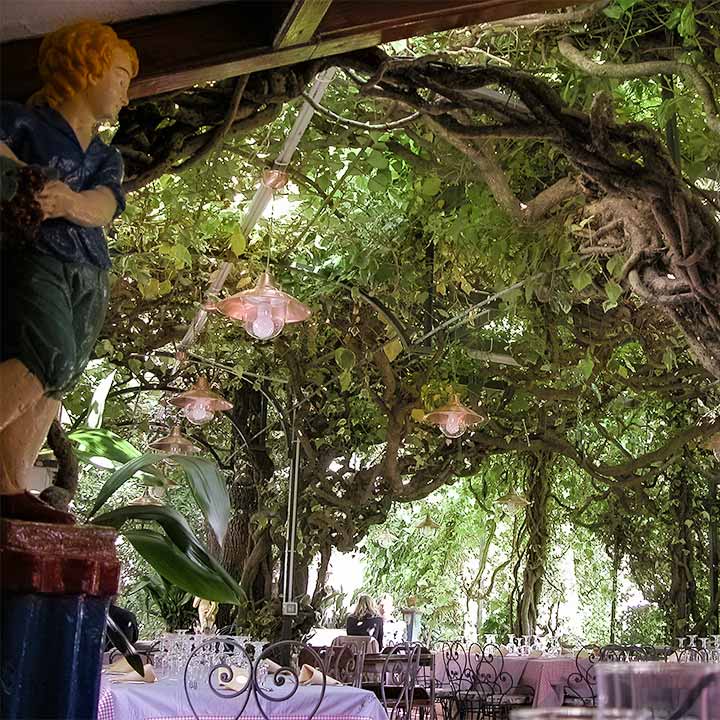 arbor-and-vine ceiling of restaurant at Anacapri, Isle of Capri