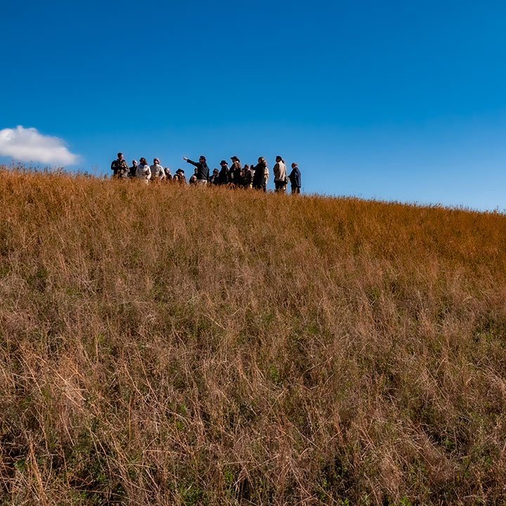 group of people standing on grass-covered hillside at La Bandita in Tuscany