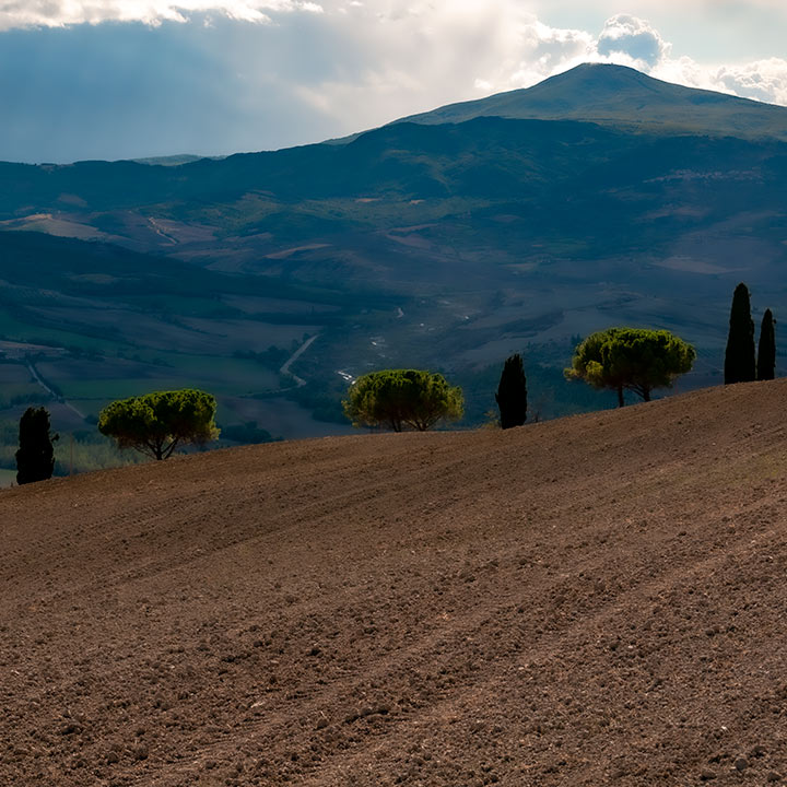 Tuscan hillside with mountain in background
