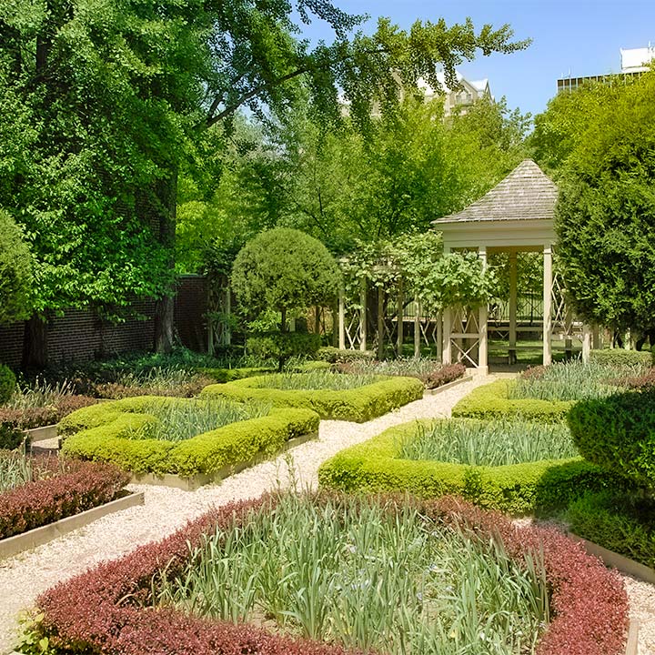 garden in Philadelphia green