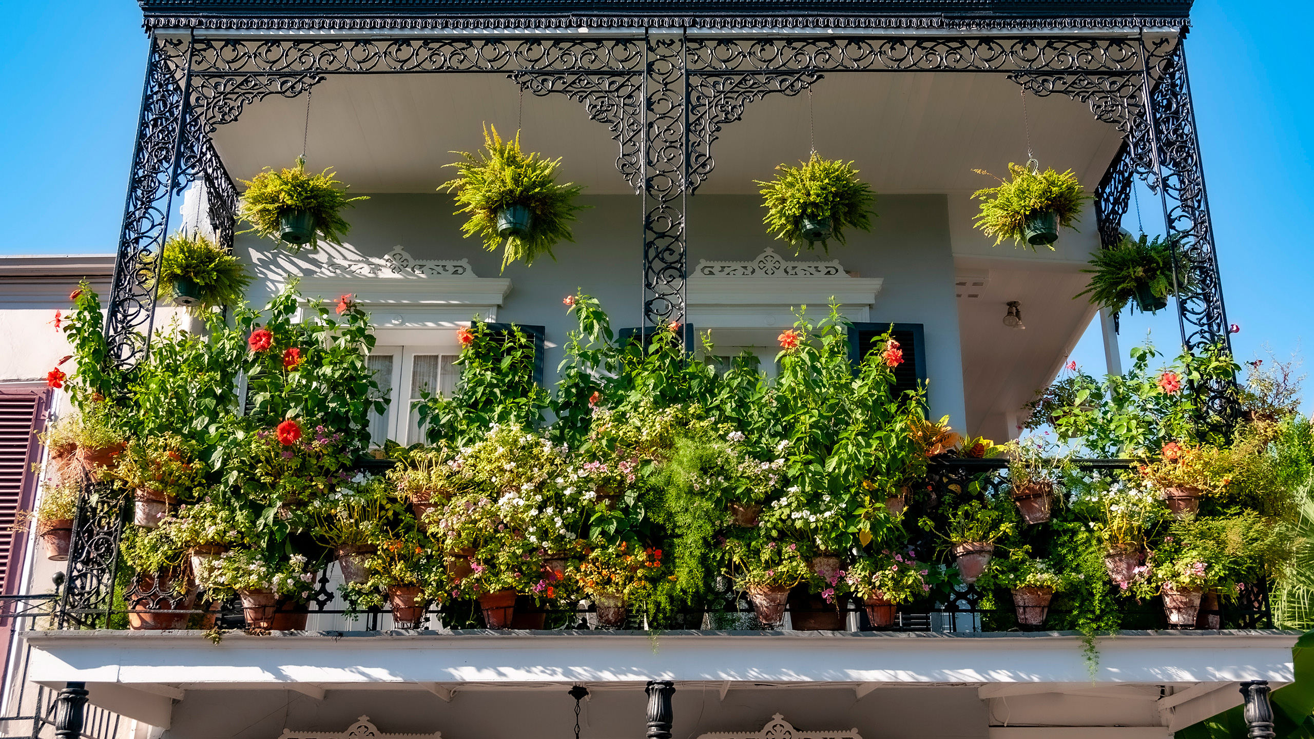 heavily-planted French Quarter gallery garden