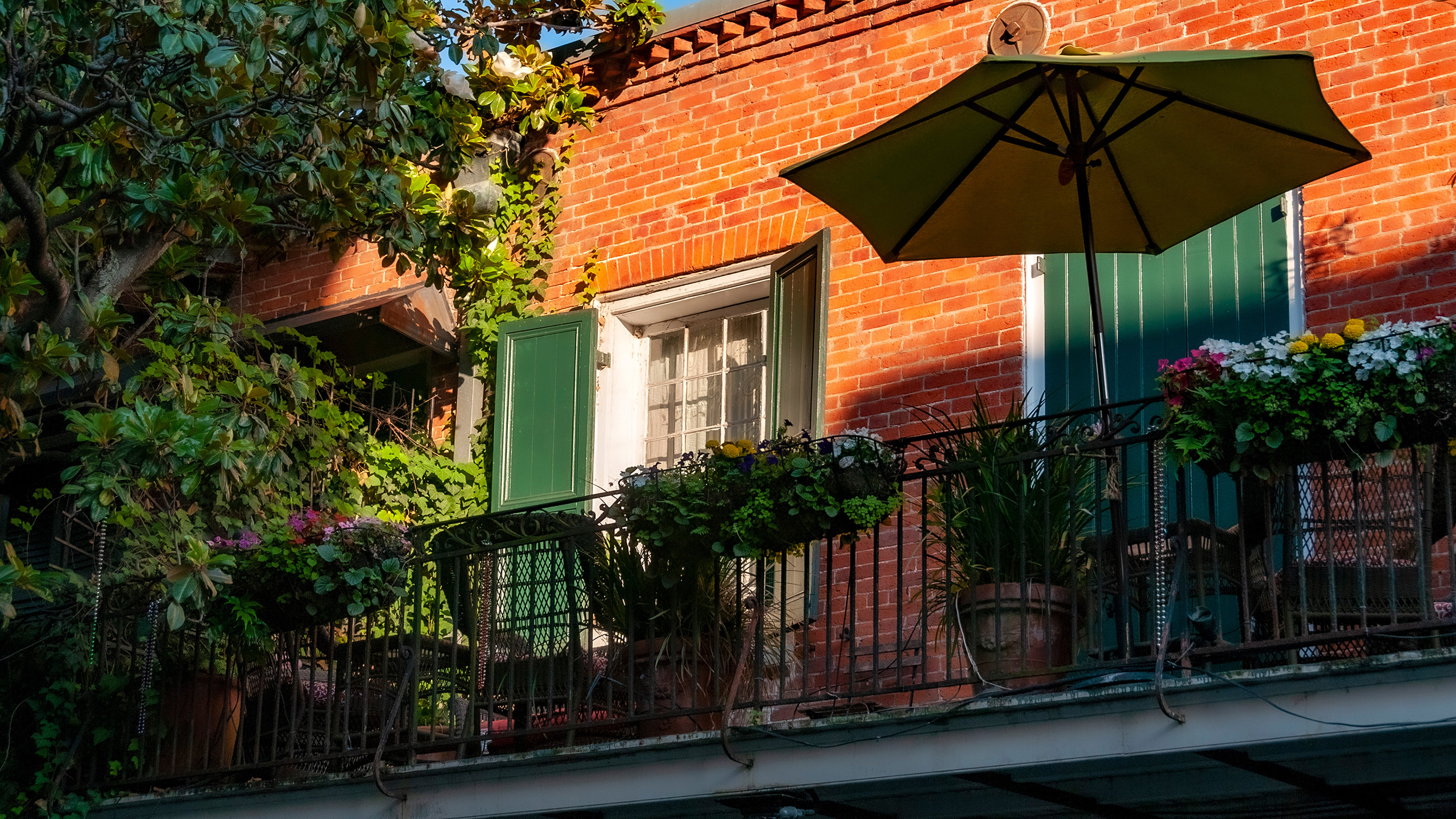 street tree & awning shade French Quarter balcony garden near Jackson Square