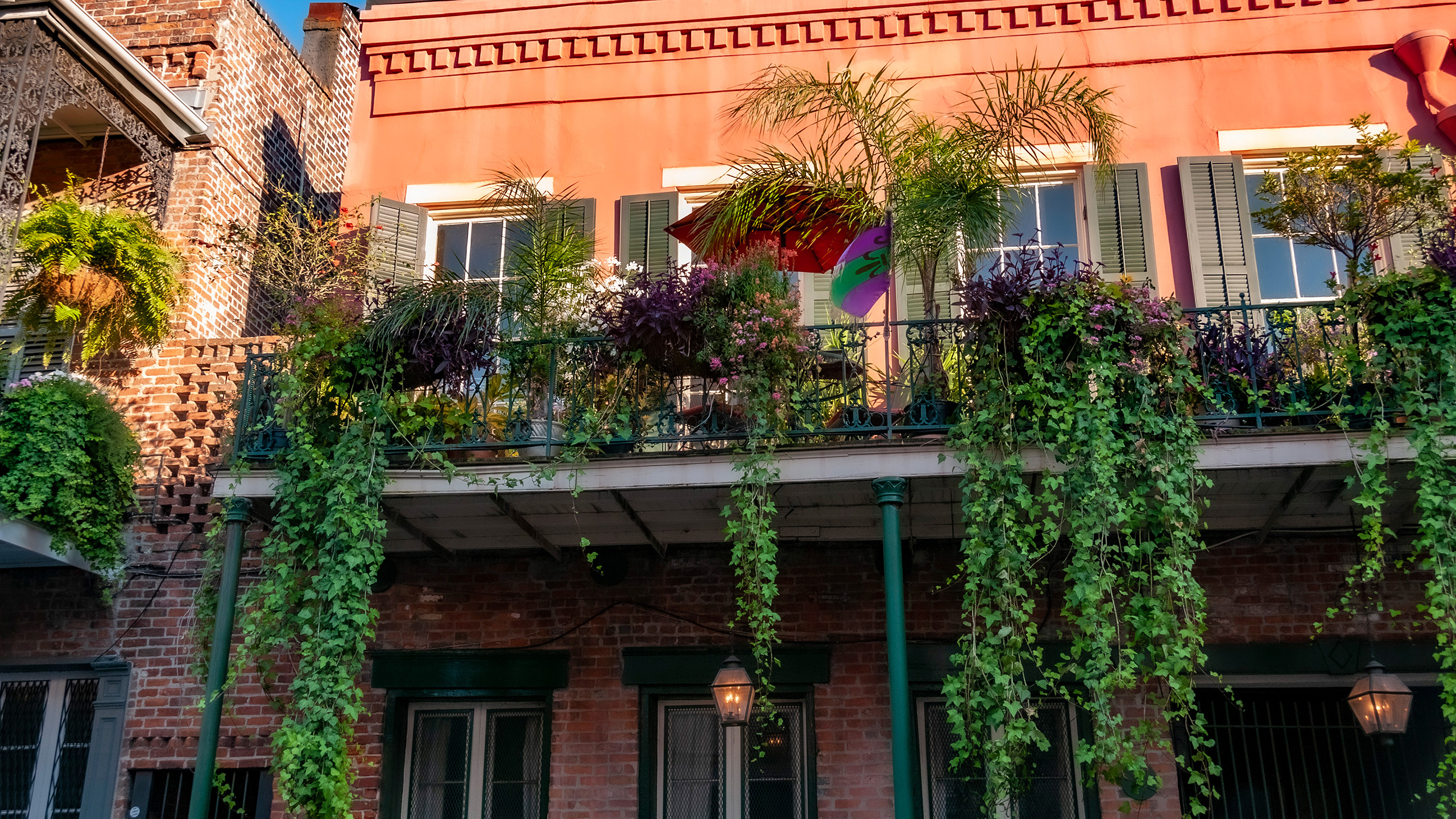 French Quarter gallery garden vines extend several feet below, shading the sidewalk