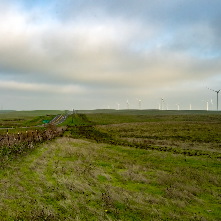 fencerow to the left with state highway beyond and a field of wind generators to the right