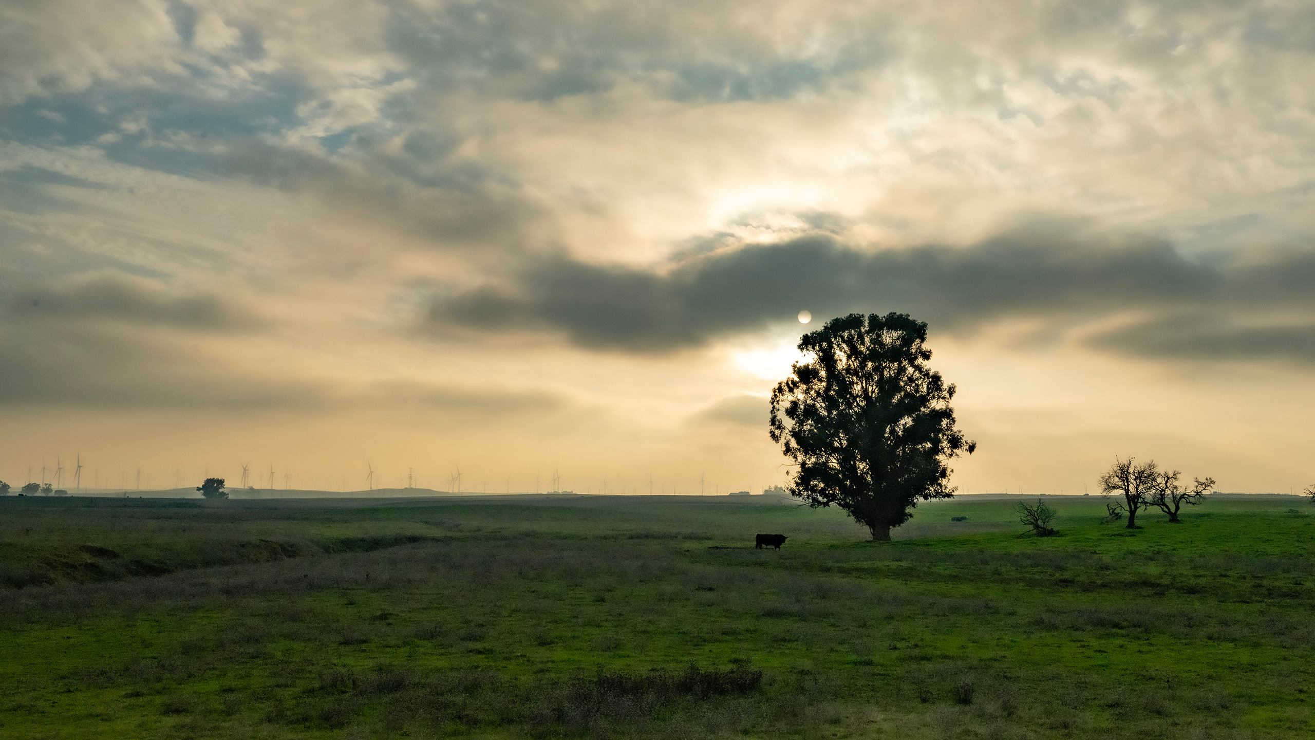 site for California Forever development