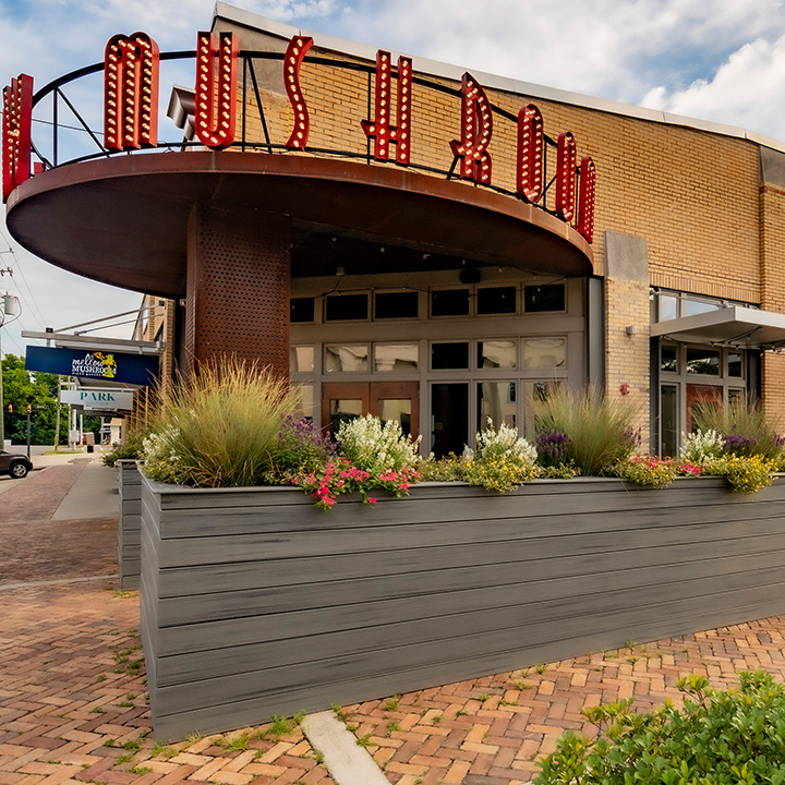 Mellow Mushroom pizza establishment in Tuscaloosa, Alabama