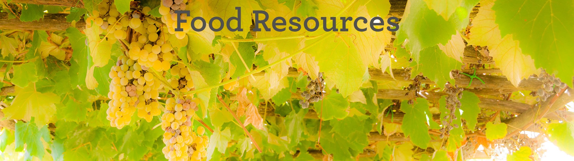 food-resources