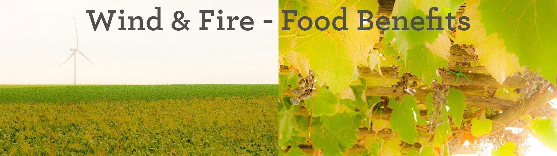 wind-&-fire---food-benefits