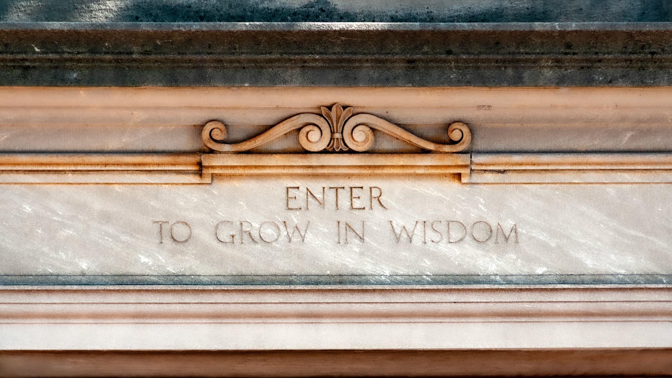 Alt Text