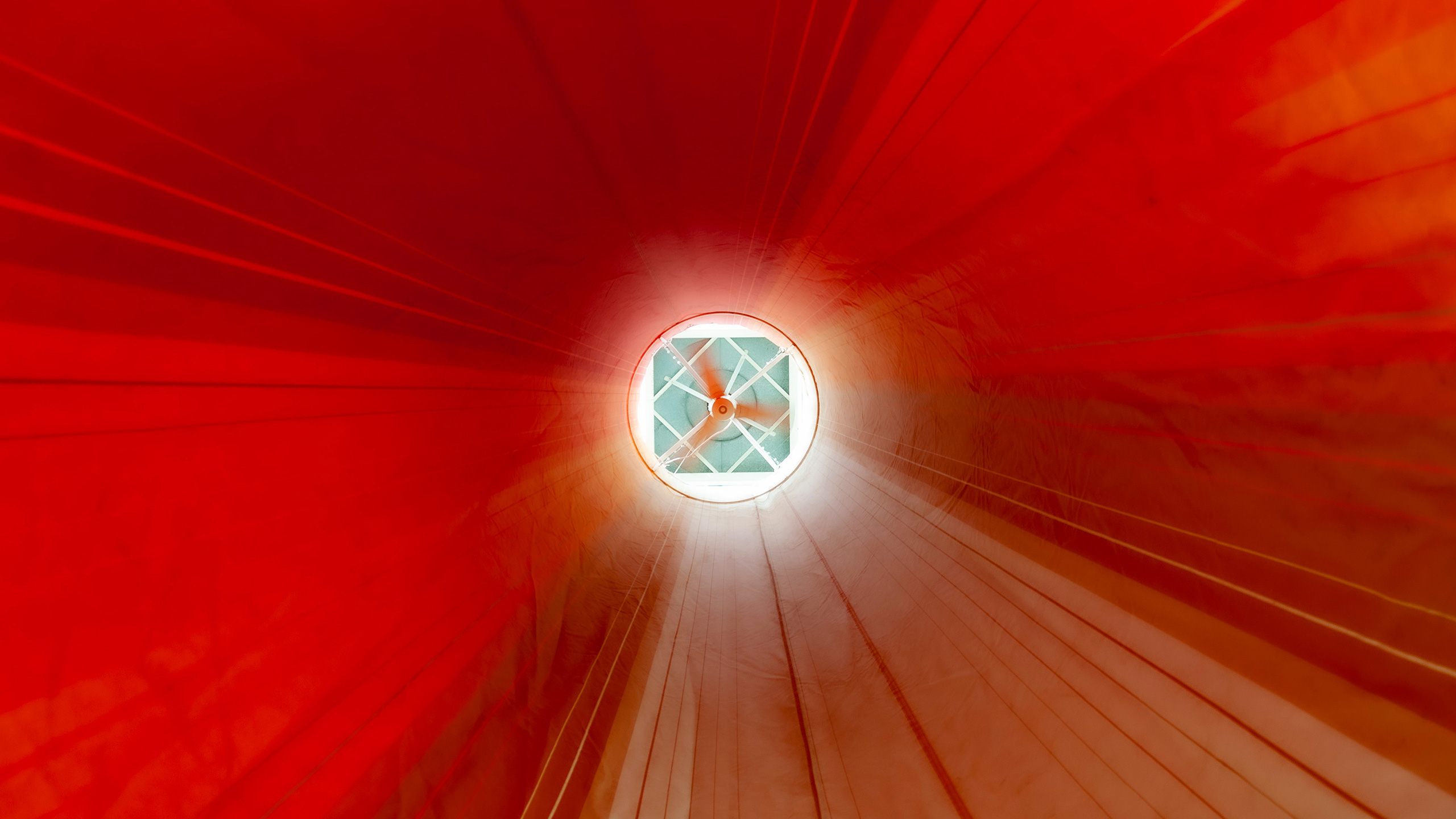 Alt Text