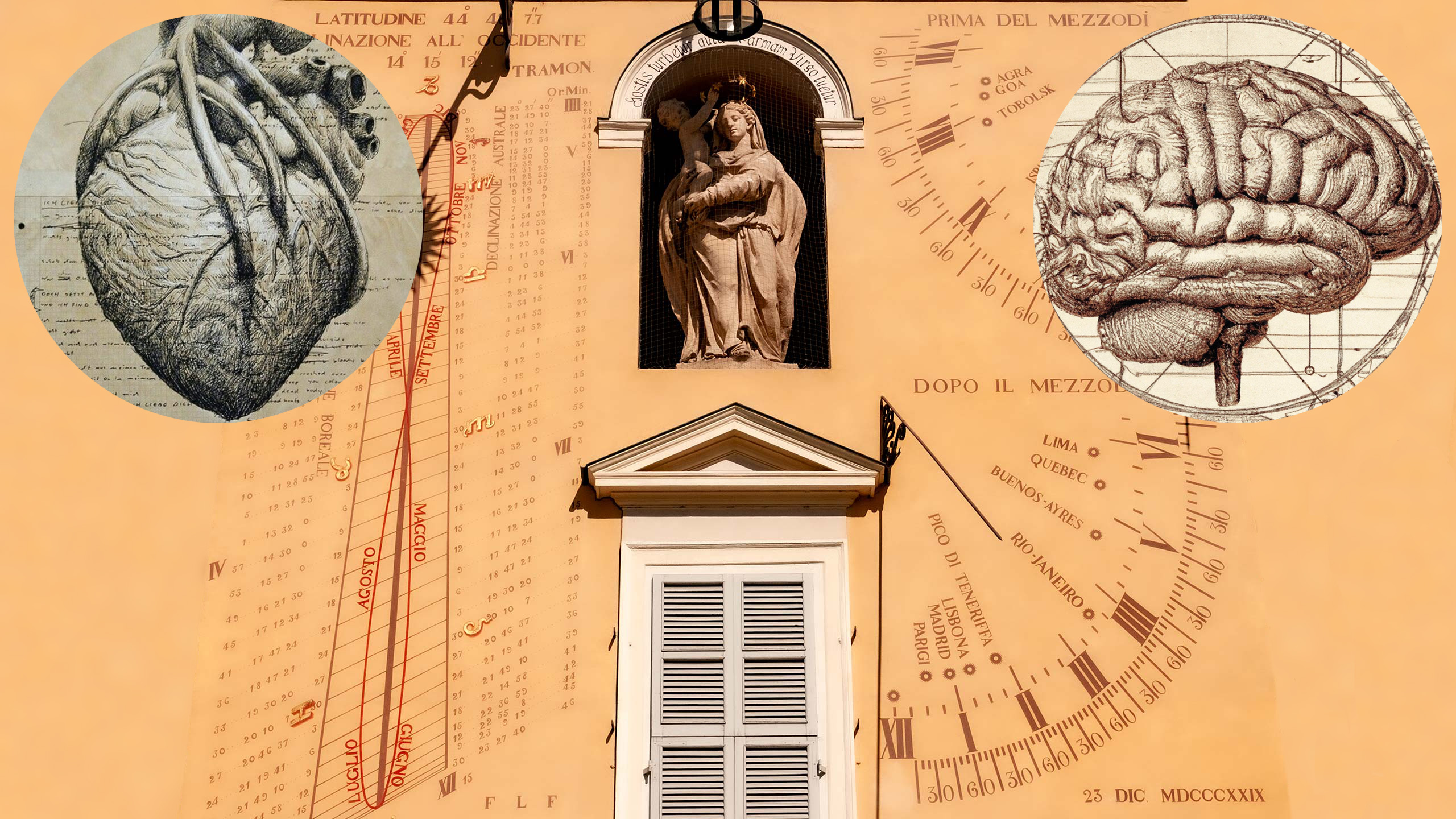 Leonardo da Vinci drawings of human heart and brain overlaid on photo from Parma, Italy