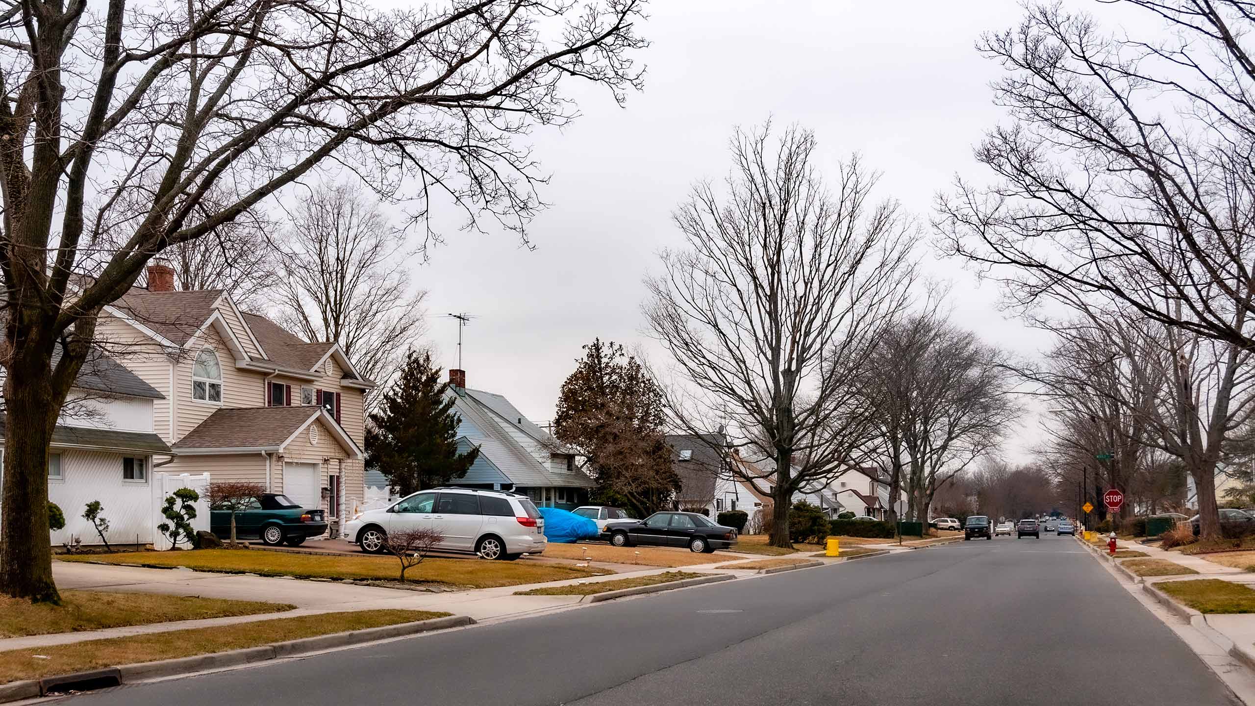 Levittown streetscape on Long Island, where it was the first major post-WWII subdivision